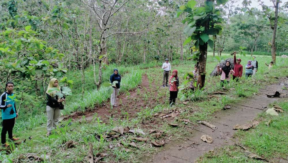 kramajati