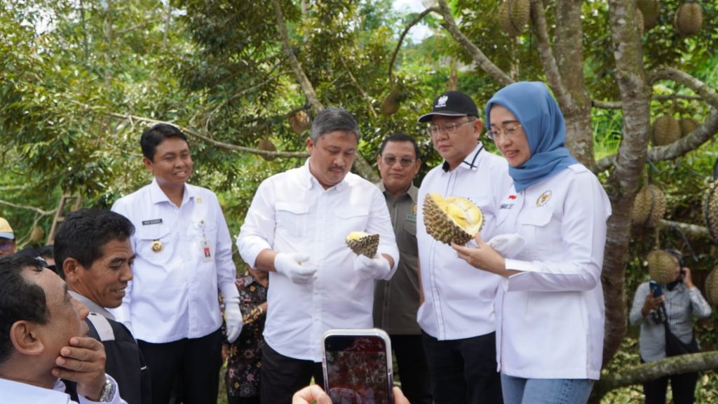 durian
