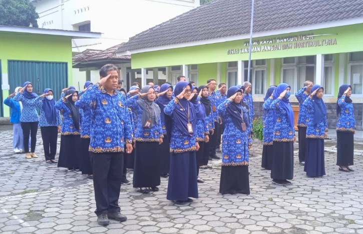 otonomi daerah